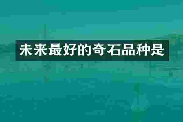 未来最好的奇石品种是