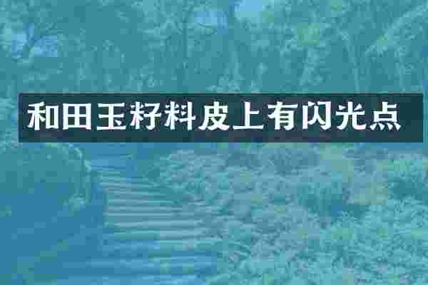 和田玉籽料皮上有闪光点