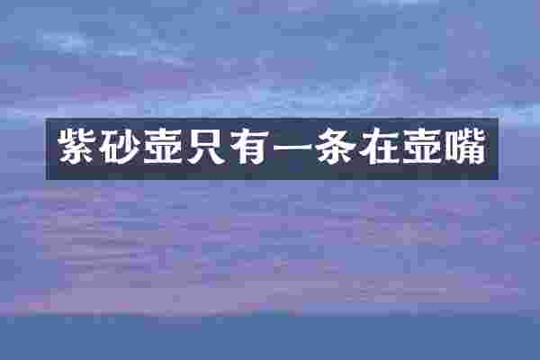 紫砂壶只有一条在壶嘴