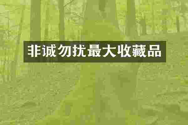 非诚勿扰最大收藏品