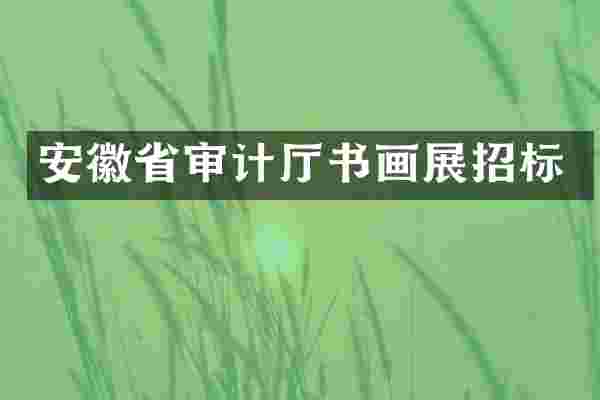 安徽省审计厅书画展招标