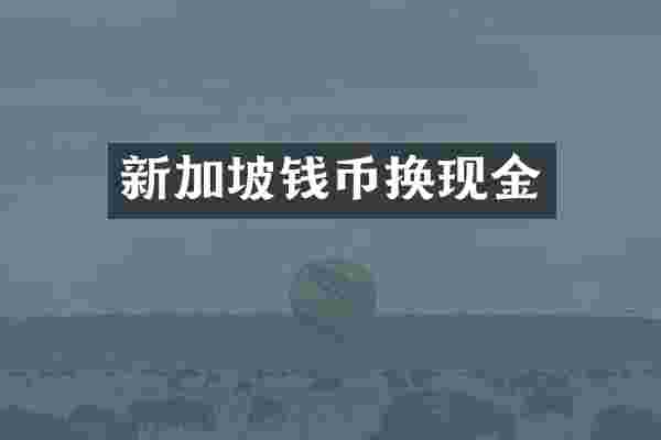 新加坡钱币换现金