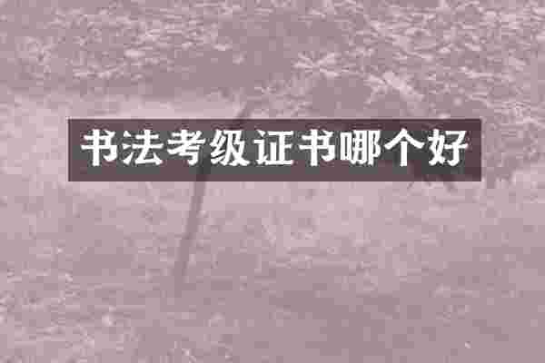 书法考级证书哪个好