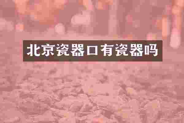 北京瓷器口有瓷器吗