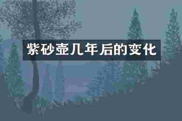 紫砂壶几年后的变化