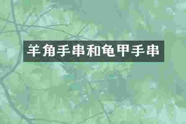 羊角手串和龟甲手串