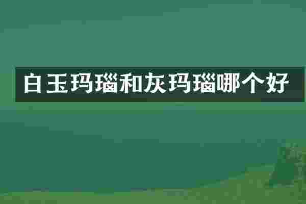 白玉玛瑙和灰玛瑙哪个好