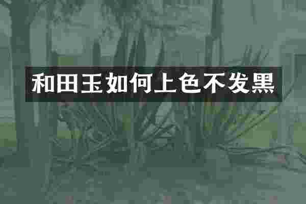 和田玉如何上色不发黑