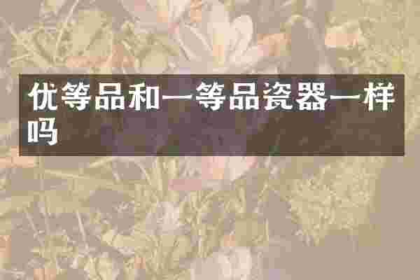 优等品和一等品瓷器一样吗