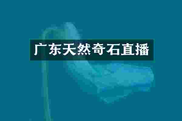 广东天然奇石直播