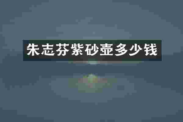 朱志芬紫砂壶多少钱