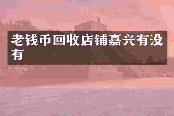 老钱币回收店铺嘉兴有没有