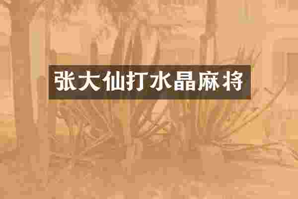 张大仙打水晶麻将