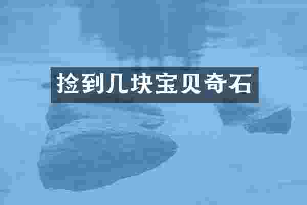 捡到几块宝贝奇石