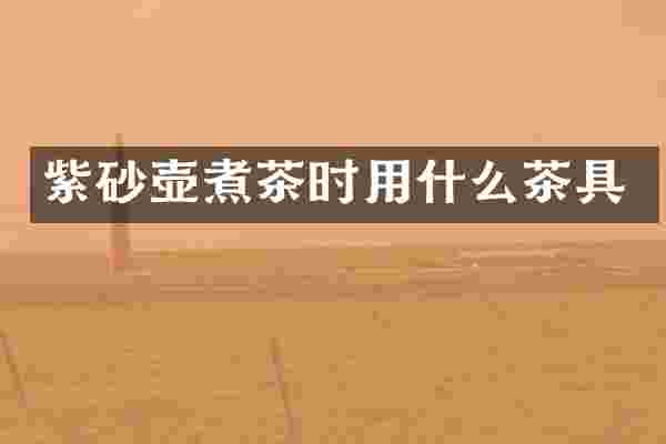 紫砂壶煮茶时用什么茶具