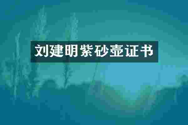 刘建明紫砂壶证书