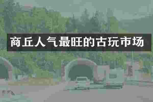 商丘人气最旺的古玩市场