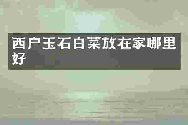 西户玉石白菜放在家哪里好