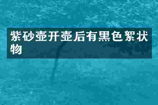 紫砂壶开壶后有黑色絮状物