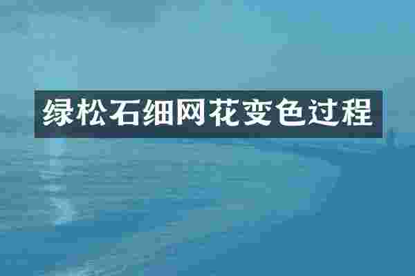 绿松石细网花变色过程