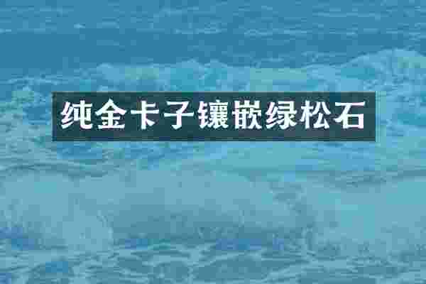 纯金卡子镶嵌绿松石