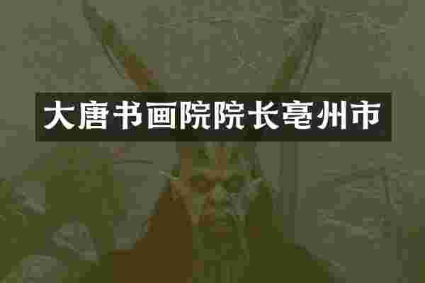 大唐书画院院长亳州市