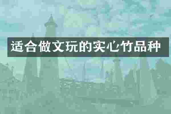 适合做文玩的实心竹品种