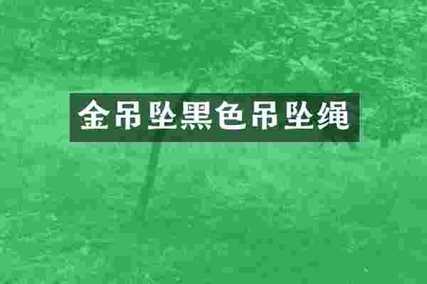 金吊坠黑色吊坠绳