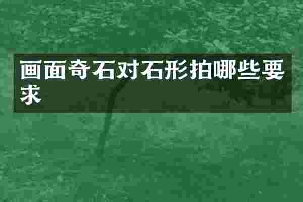 画面奇石对石形拍哪些要求