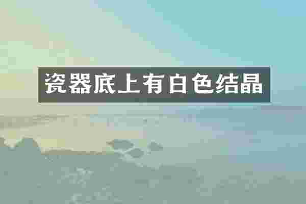 瓷器底上有白色结晶