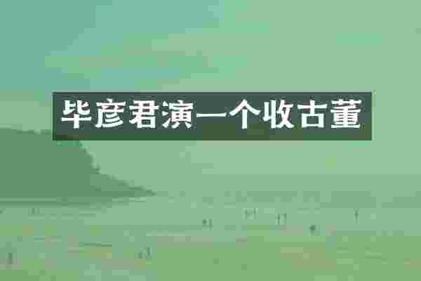 毕彦君演一个收古董