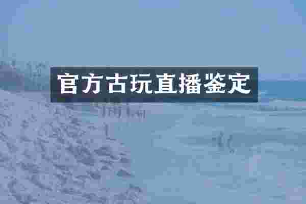 官方古玩直播鉴定