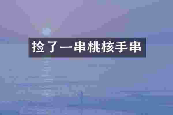 捡了一串桃核手串