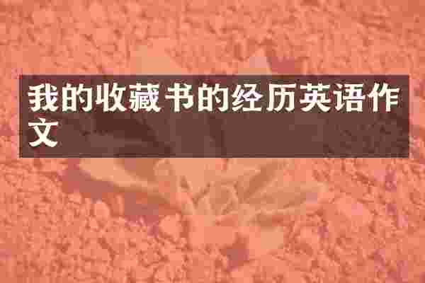我的收藏书的经历英语作文
