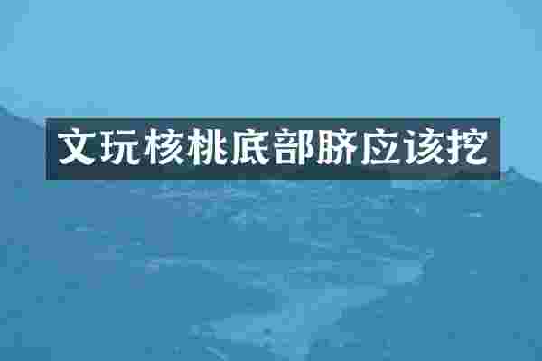文玩核桃底部脐应该挖