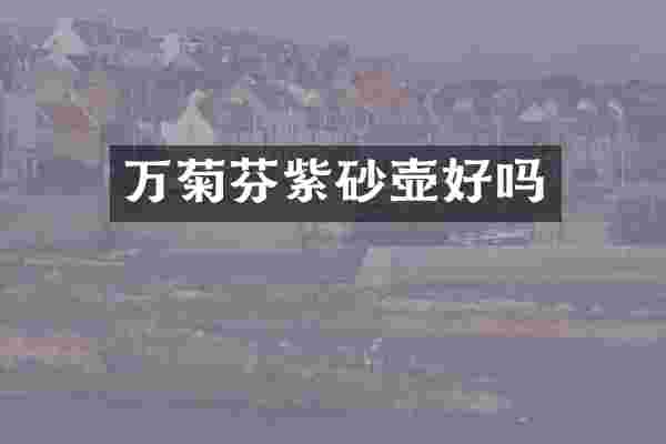 万菊芬紫砂壶好吗