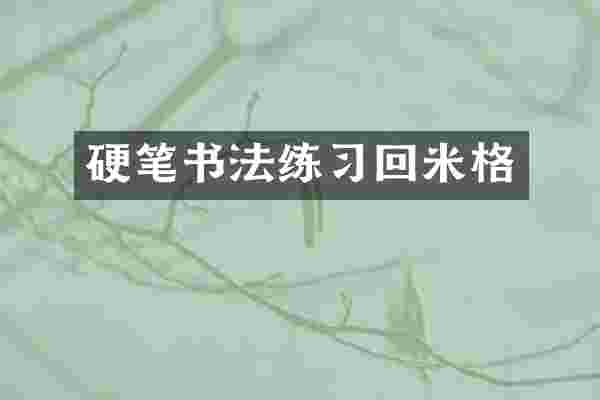 硬笔书法练习回米格