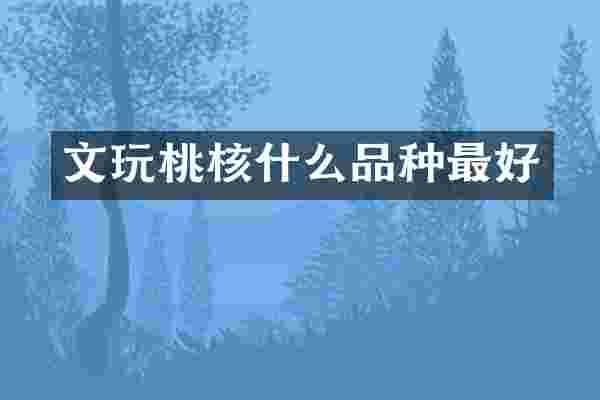 文玩桃核什么品种最好
