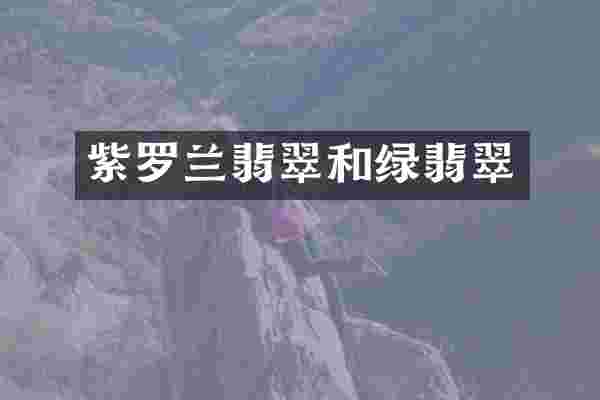 紫罗兰翡翠和绿翡翠