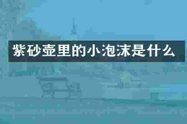 紫砂壶里的小泡沫是什么