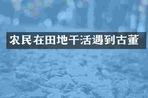 农民在田地干活遇到古董