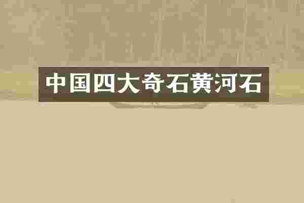 中国四大奇石黄河石