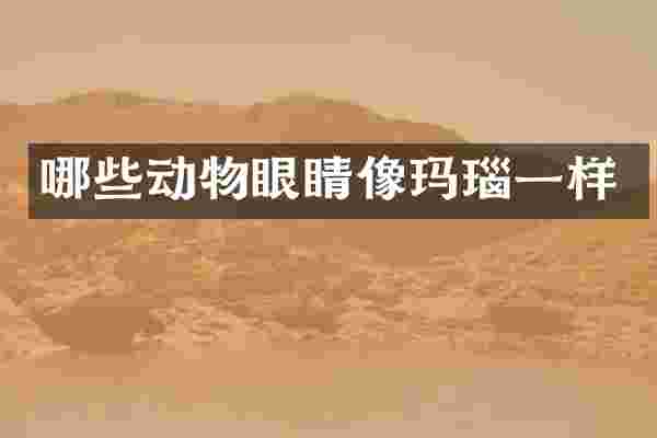 哪些动物眼睛像玛瑙一样