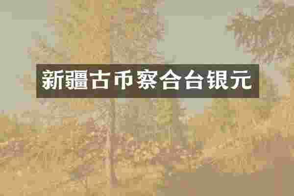 新疆古币察合台银元