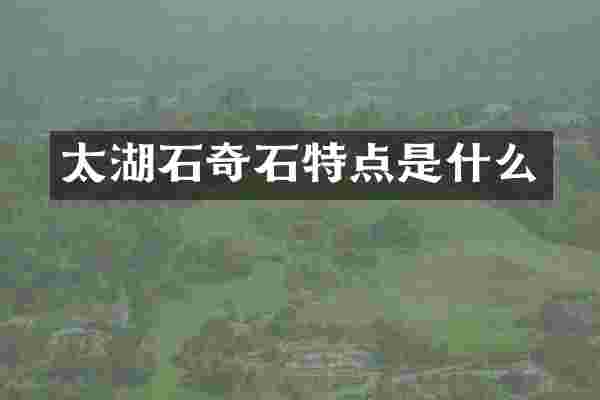 太湖石奇石特点是什么