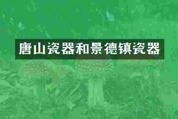 唐山瓷器和景德镇瓷器