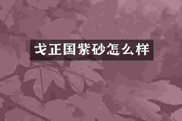 戈正国紫砂怎么样
