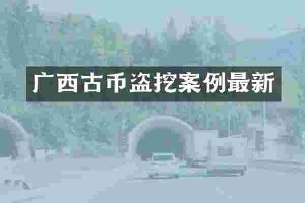 广西古币盗挖案例最新