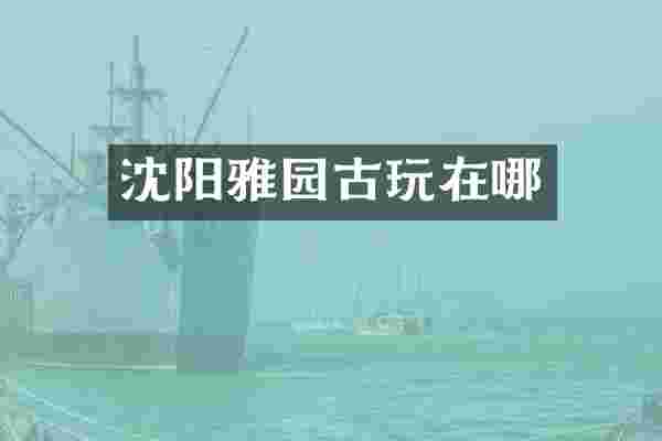 沈阳雅园古玩在哪