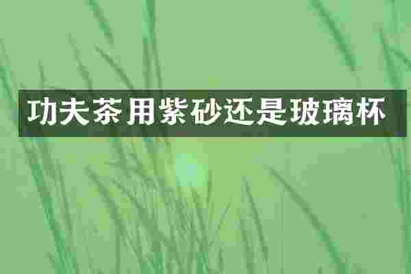 功夫茶用紫砂还是玻璃杯